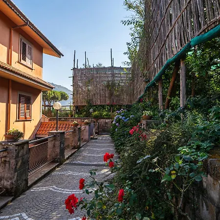 Bed And Lemons Bed & Breakfast Piano di Sorrento