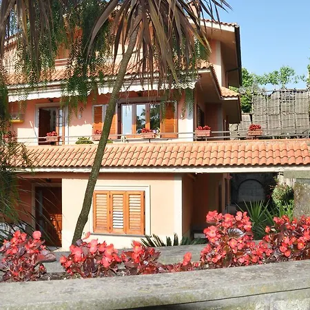 Bed & Breakfast Bed And Lemons