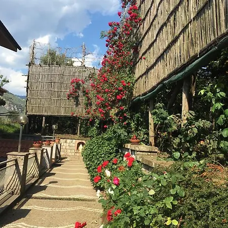 Bed And Lemons Bed & Breakfast