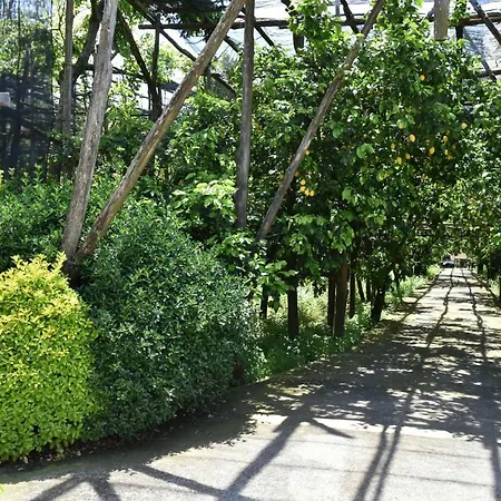 Bed & Breakfast Bed And Lemons