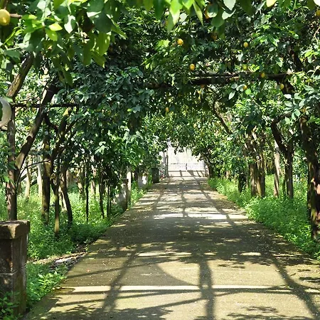 ベッド・アンド・ブレックファスト Bed And Lemons 3*