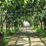 ベッド・アンド・ブレックファスト Bed And Lemons 3*