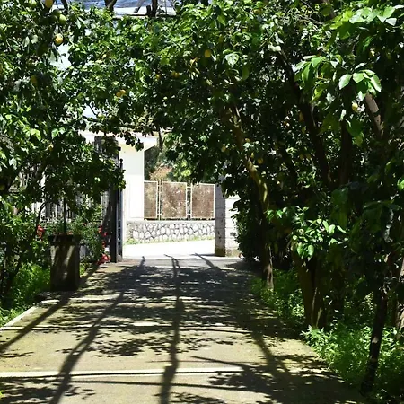 Bed And Lemons Piano di Sorrento
