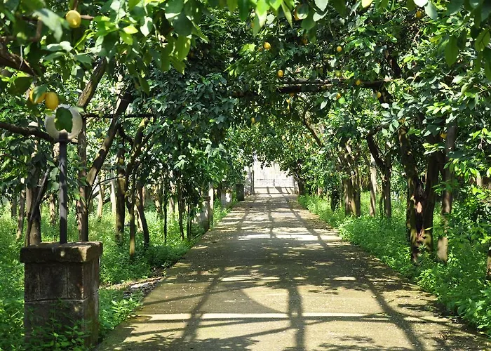 住宿加早餐酒店 拜德莱蒙斯住宿加早餐旅馆 3*